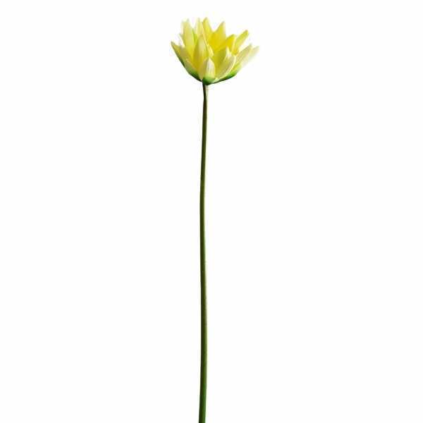 greenery SB005YL