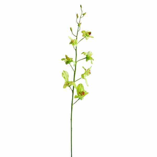 greenery SB008GR
