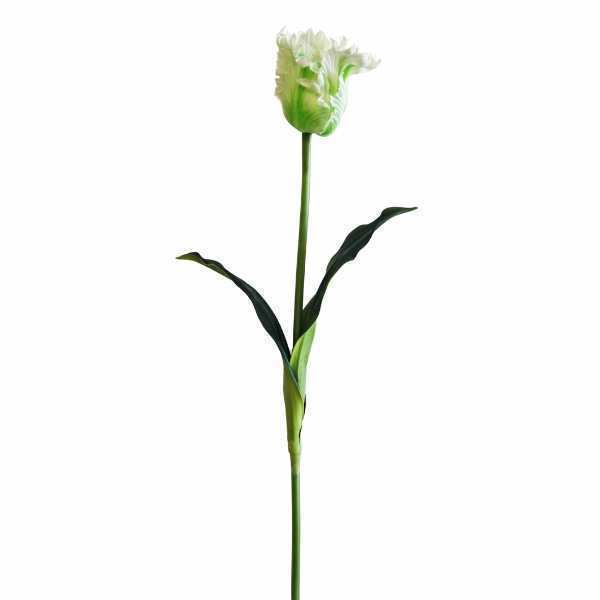 greenery SB033CR