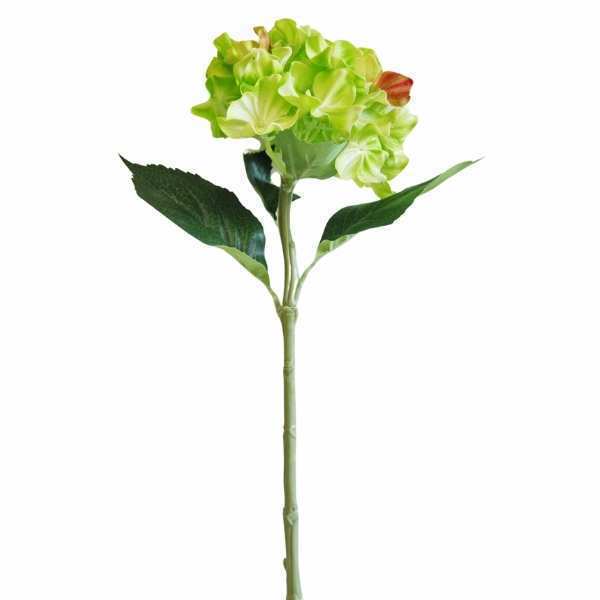 greenery SB039GR