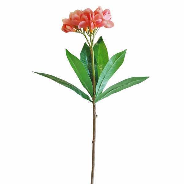 greenery SB041PK