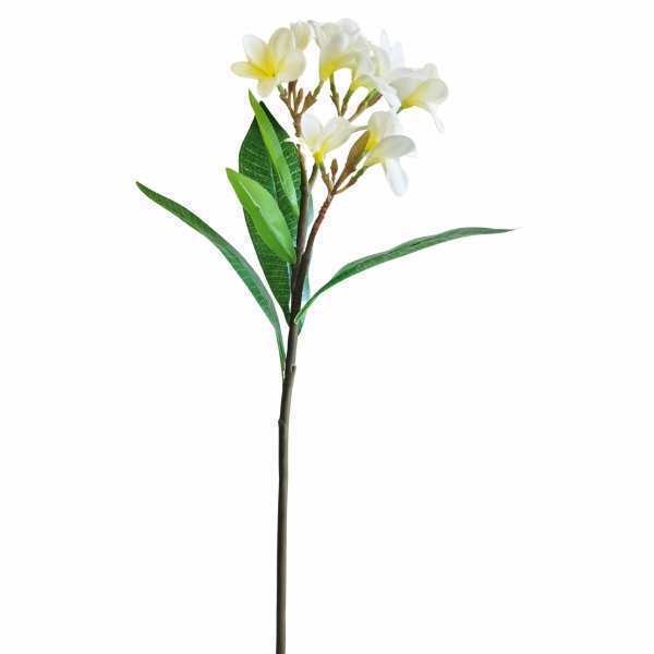 greenery SB044CR