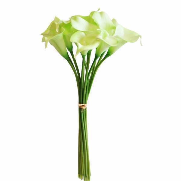 greenery SB113LG