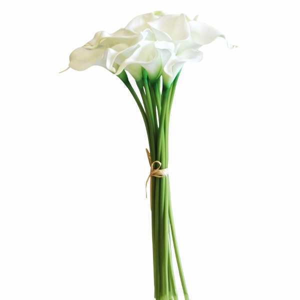 greenery SB113WH