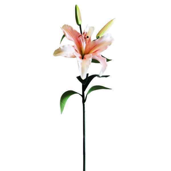 greenery SB205PK