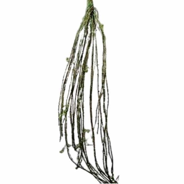 greenery SEV5001G