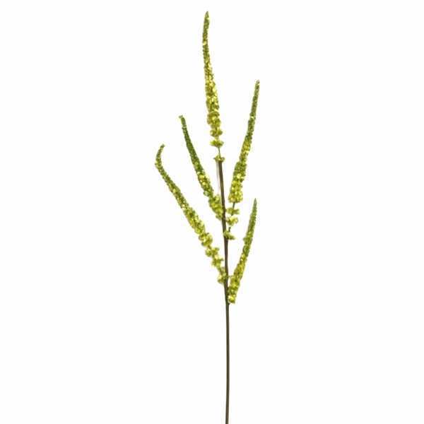 greenery SFC055GR