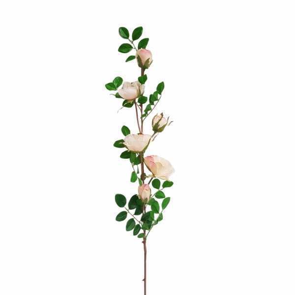 greenery SFC122PK