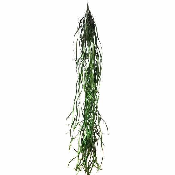 greenery SFD105GR