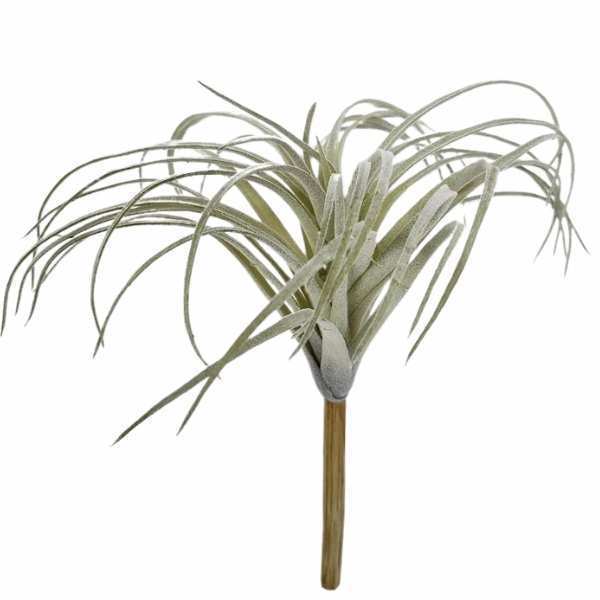 greenery SFD110