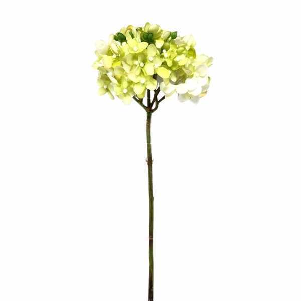 greenery SFD225GR