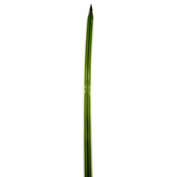greenery SRA4008